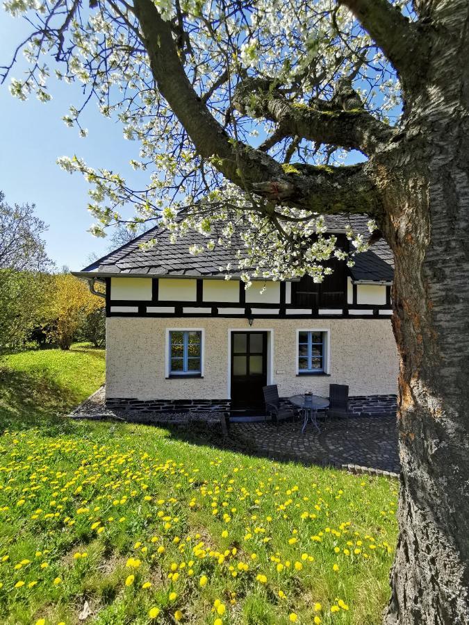Ferienwohnung "Am Saalehaken" Gossitz Екстер'єр фото